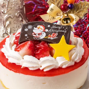 【冷凍ケーキ】クリスマス仕様スカイベリーショートケーキ【日付指定不可】