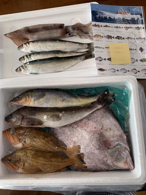 みんなの投稿の画像