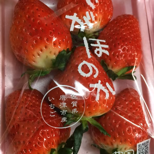 寒い季節限定♡香りあふれるイチゴ「さがほのか」4パック入り