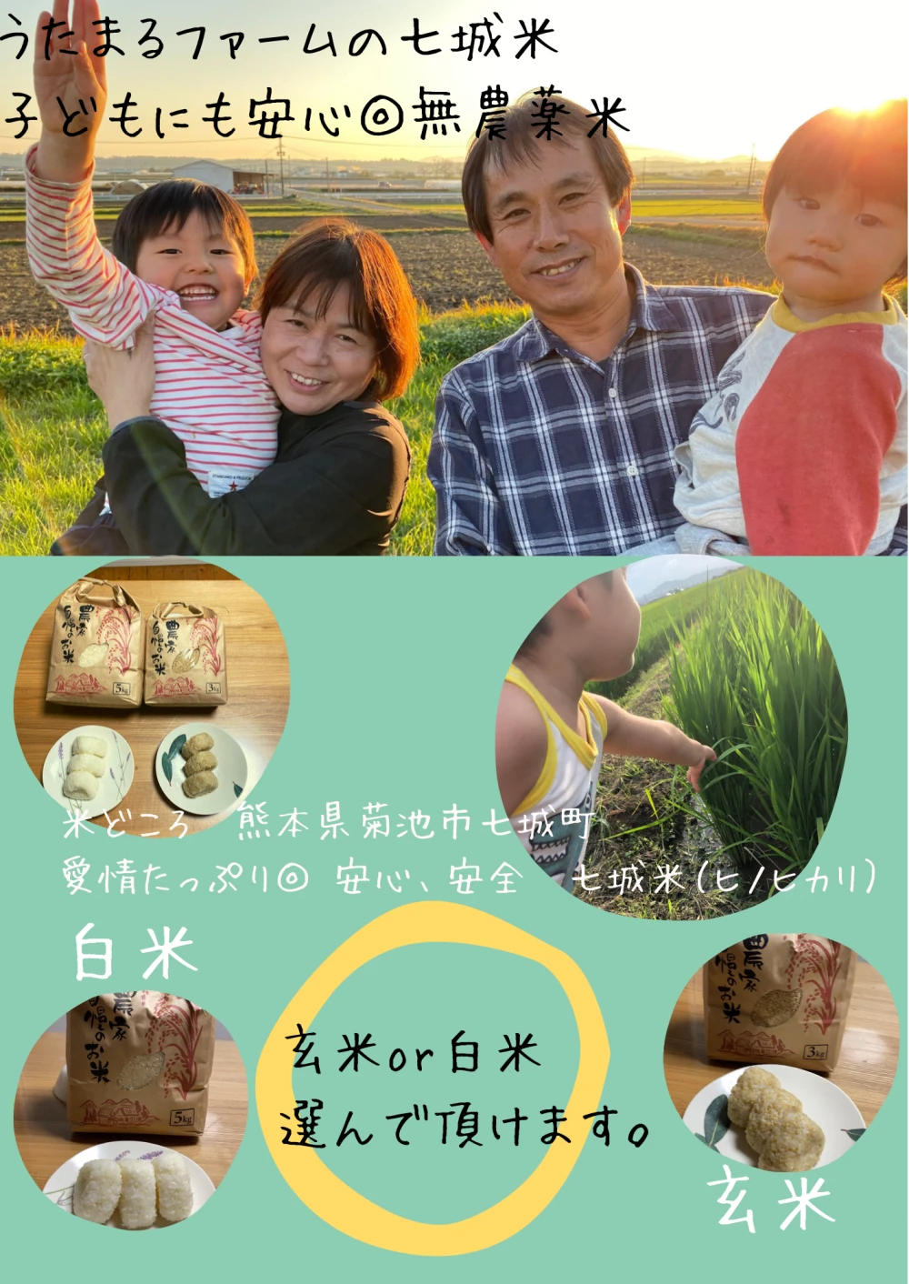 ★初回限定　5キロ　熊本県産　七城米　玄米　農薬、化学肥料不使用