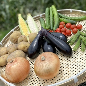 【日本一若手農家がお届け】旬の野菜８種類セット
