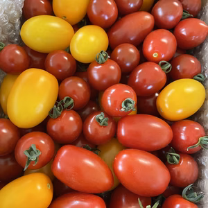 濃い味★青森県産ミニトマト★ミックス