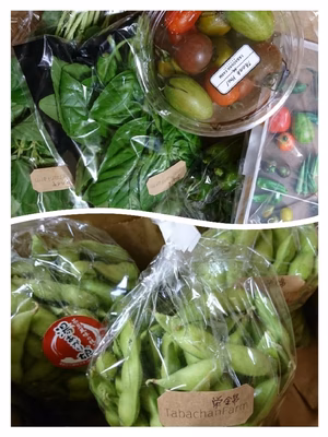 みんなの投稿の画像