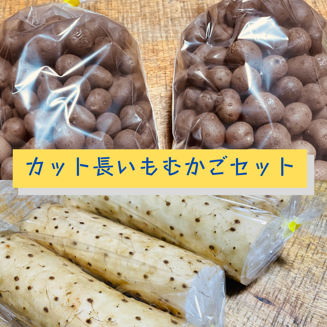 市場 冷凍むかご 山芋 500g
