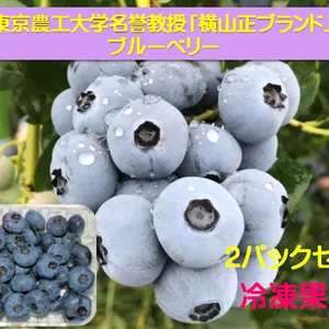 ブルーベリー冷凍果実（北方系2パック）：東京農工大学名誉教授「横山正ブランド」