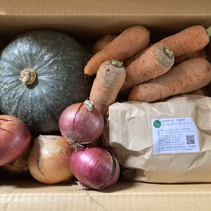 にんじん&かぼちゃ＆玉ねぎ2種＆じゃがいもセット