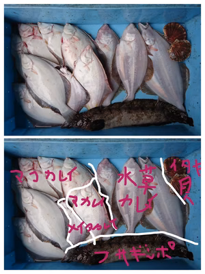 みんなの投稿の画像