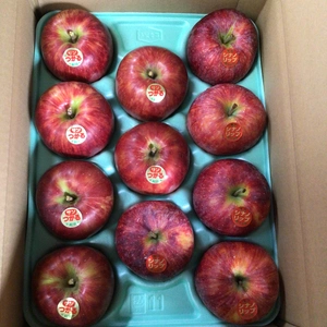 夏のりんご　食べ比べセット　シナノリップ、サンつがる　3kg