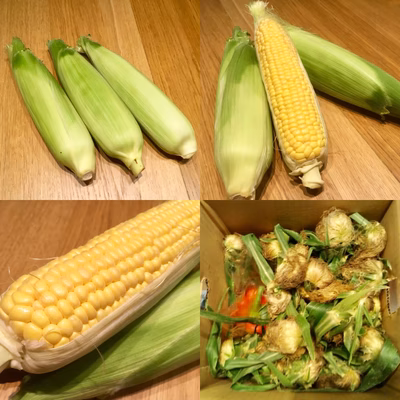 みんなの投稿の画像