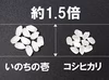 【日本一大粒米・特別栽培・白米】令和６年産 福井県産いのちの壱(コシヒカリの大粒