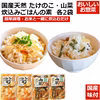 国産 天然 たけのこ・山菜炊込みご飯の素 2合用 各2袋