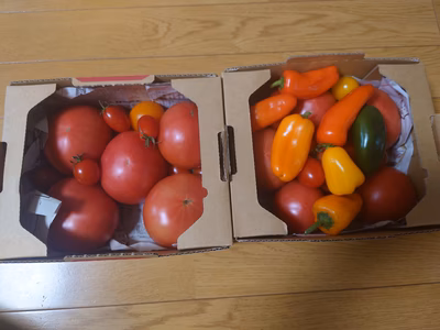 みんなの投稿の画像