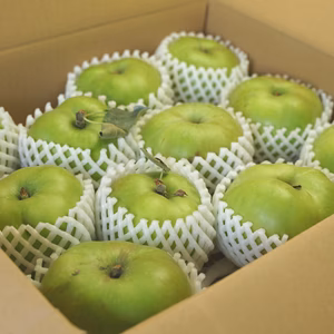 酸っぱいクッキングアップル、青森県産ブラムリー