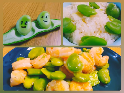 みんなの投稿の画像