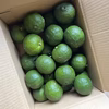  豊田市旭産 『青柚子』 1.8kg