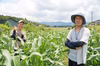 恵那山の麓清流の朝採れとうもろこし食べ比べセット【80サイズ】