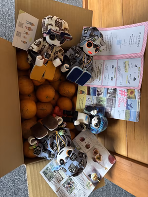 みんなの投稿の画像