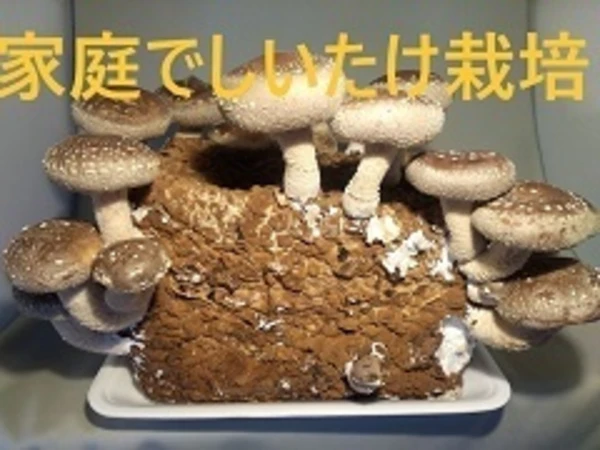 24641