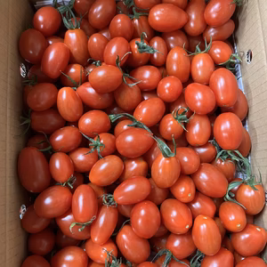 『訳ありA品・アイコ3kg箱♪』ヘタありランダム♪ちょうどいい酸味と甘味おすすめ