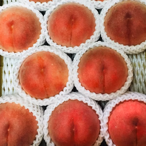 甘めで硬い桃　おどろき　限定100セット