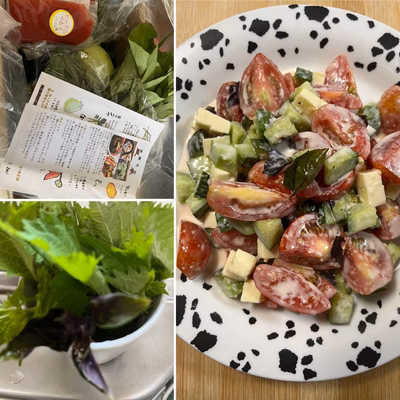 みんなの投稿の画像