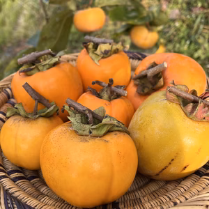 【送料500円引】干し柿5種　詰め合わせセット