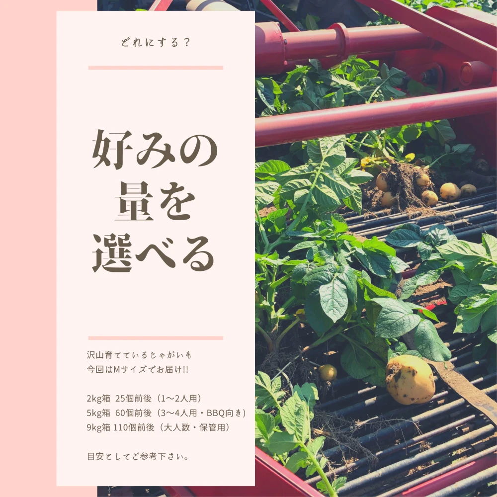 【北海道産きたあかり】30年以上作り続けるじゃがいも農家【ゆめいも】