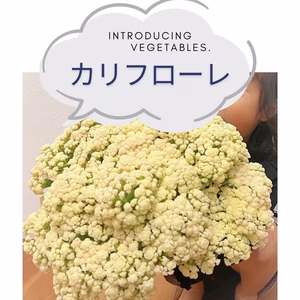 ５月１５日頃から発送予定　爆食注意❗️茎まで美味しいカリフローレ1箱