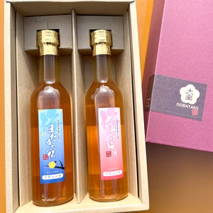 【夏ギフト】梅農家による甘辛梅酒300ｍｌ2本セット【のみくらべにも！】
