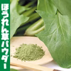 ほうれんそうパウダー