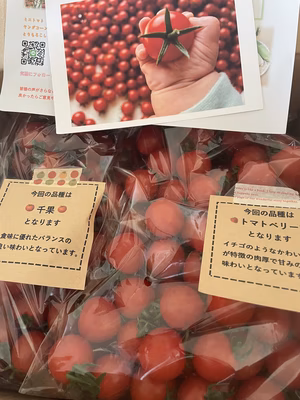 みんなの投稿の画像