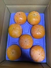 柔らかい柿好き必見　岐阜県産  富有柿 柔らかくなる柿　7個入りミニサイズ