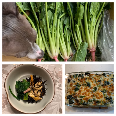 みんなの投稿の画像