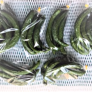 ✨【お漬物用】きゆうり② 4kg/箱