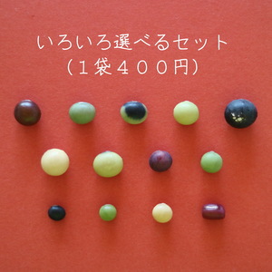 【５or１０種類の大豆（１００g入り）を選べるセット】お試しにいかがですか？