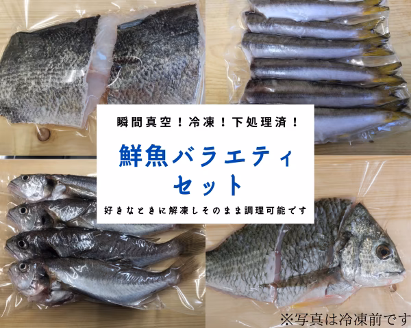 鮮魚バラエティセット