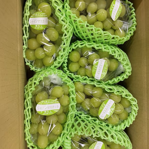 【⠀大分県安心院産シャインマスカット】ご家庭用2.5キロ詰め合わせ