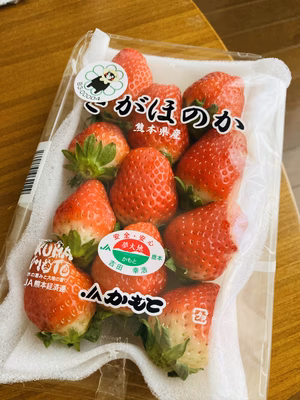 みんなの投稿の画像