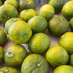 柚子胡椒手作り【中辛セット】レシピ付き★訳あり5点限り❕