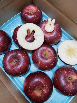 みんなの投稿の画像