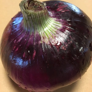 紫たまねぎ(赤玉ねぎ) 大きいサイズ