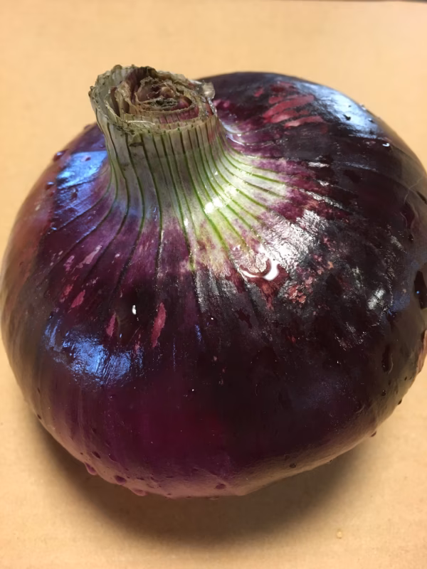 紫たまねぎ(赤玉ねぎ) 大きいサイズ