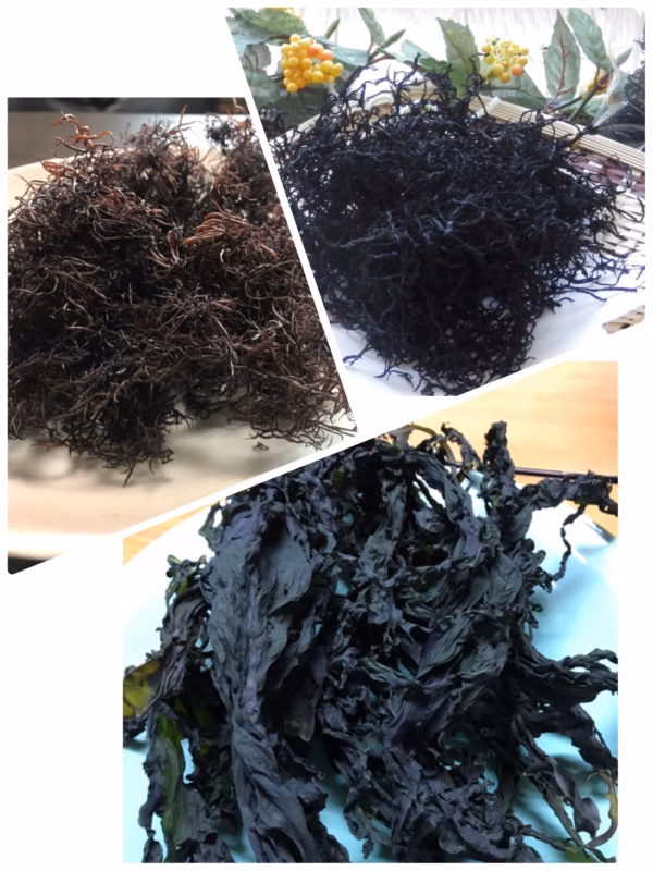 漁師家族の新乾物3点セット