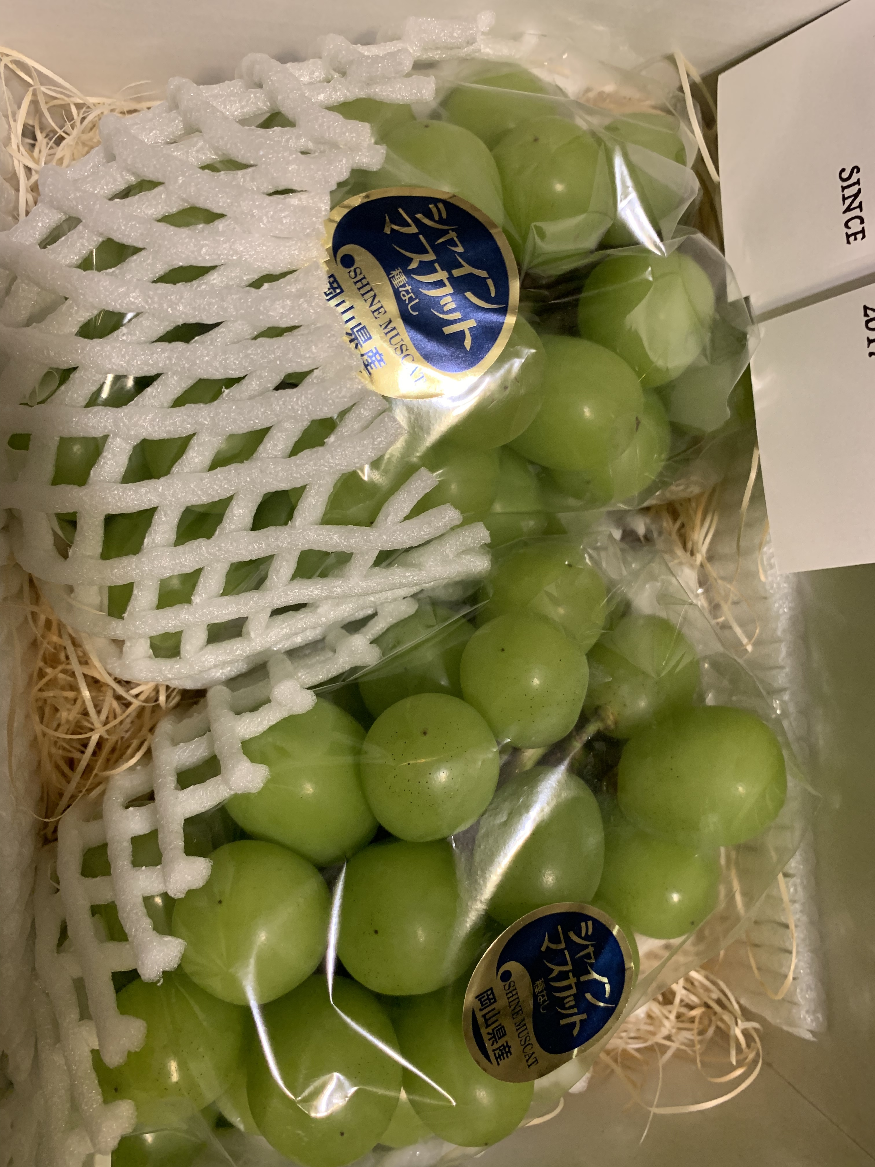 岡山県新見市｜雲の上のぶどう園｜長濱健一さんのみんなの投稿