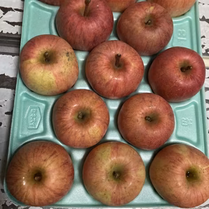 蜜入りチェック済‼️小玉3キロ13玉減農薬栽培樹上完熟蜜入り葉取らずサンふじ