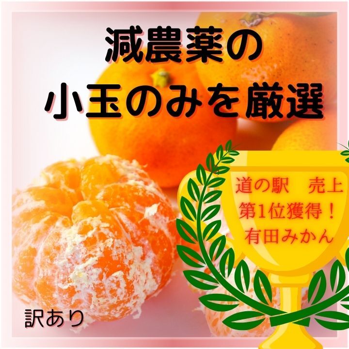 在庫有 甘い美味い有田みかん4.5キロ 安いの有田みかん 食品