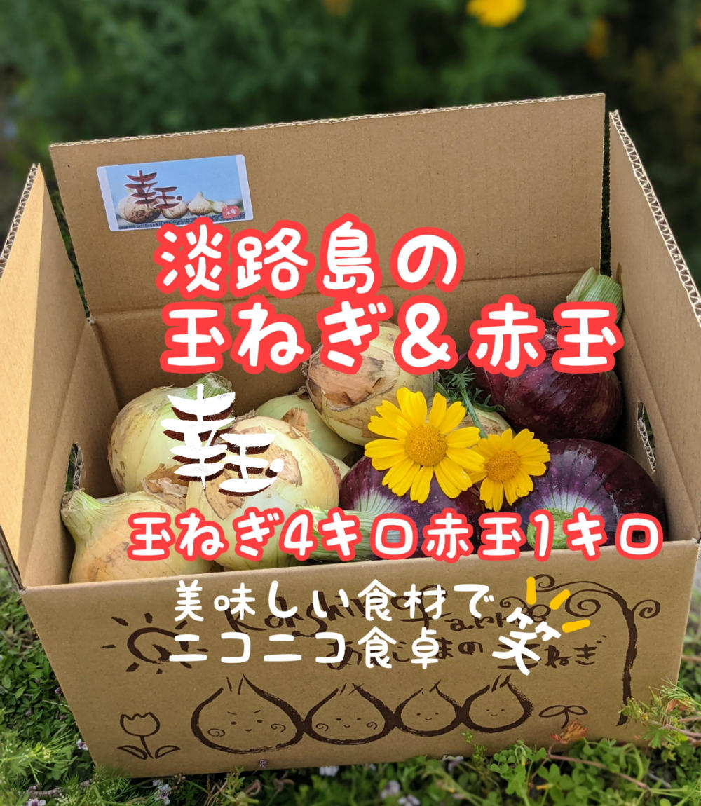 人気商品】 みちゃん様ご参考用 赤玉 - その他 人気商品】 みちゃん様ご参考用 赤玉 - その他