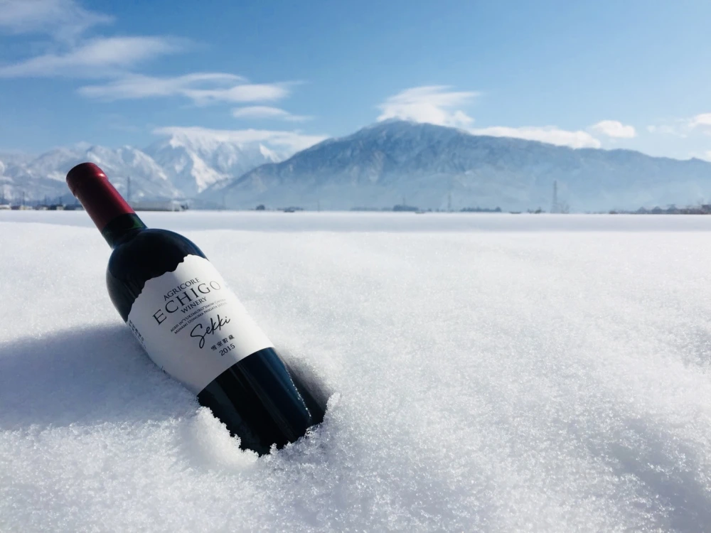 雪室貯蔵ワイン　雪季（せっき）赤　750ml