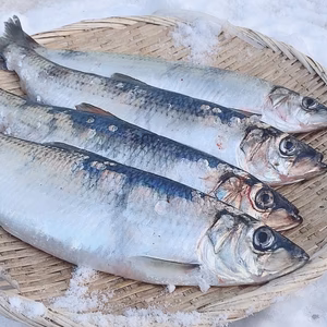 北海道産　漁師の店　ニシン