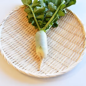 和らぎ農法　ビタミン大根　大（1～2本）